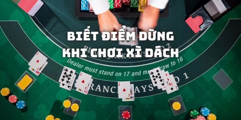 Nên biết điểm dừng khi tham gia chơi Xì dách online